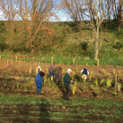 At the bottom 3. Cambridge Tree Trust